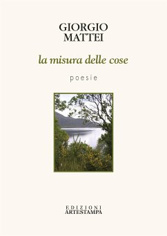 La misura delle cose (eBook, PDF) - Mattei, Giorgio