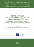 Tutela penale degli interessi finanziari dell'Unione Europea (eBook, PDF)