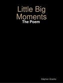Little Big Moments: The Poem (eBook, ePUB)