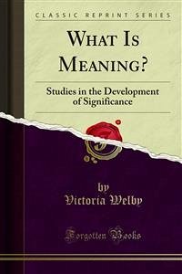 What Is Meaning? (eBook, PDF)