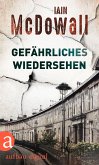 Gefährliches Wiedersehen (eBook, ePUB)