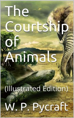 The Courtship of Animals (eBook, PDF) - P. Pycraft, W.