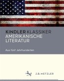 Amerikanische Literatur (eBook, PDF)