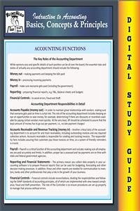 Accounting Basics, Concepts & Principles (Blokehead Easy Study Guide) (eBook, ePUB) - Blokehead, The