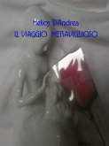 Il viaggio meraviglioso (eBook, ePUB)