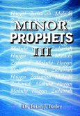 Minor Prophets III (eBook, ePUB)