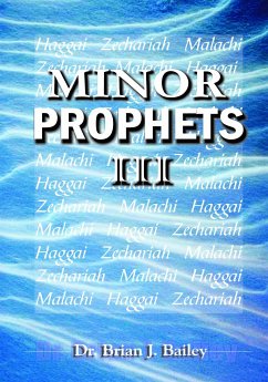 Minor Prophets III (eBook, ePUB) - Brian J. Bailey, Dr.