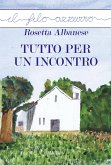 Tutto per un incontro (eBook, ePUB)