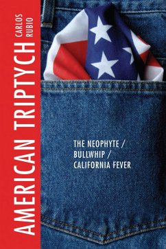 Cover American Triptych (eBook, ePUB)