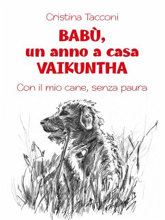 BABÙ, un anno a casa VAIKUNTHA (eBook, ePUB) - TACCONI, CRISTINA