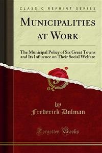 Municipalities at Work (eBook, PDF) - Dolman, Frederick