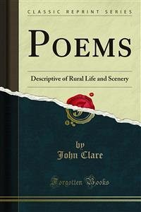 Poems (eBook, PDF) - Clare, John