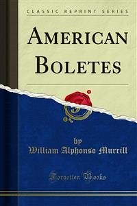 American Boletes (eBook, PDF)