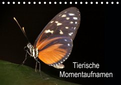 Cover Tierische Momentaufnahmen (Tischkalender 2021 DIN A5 quer)