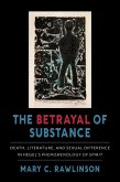 The Betrayal of Substance (eBook, ePUB)