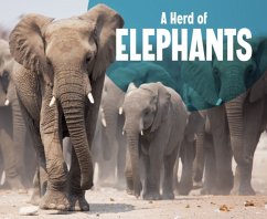 Cover A Herd of Elephants