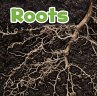 Roots - Bild 1
