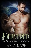 Delivered (Bear Mail, #3) (eBook, ePUB) Delivered (Bear Mail, #3) (eBook, ePUB)