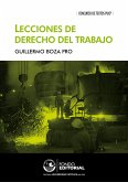 Lecciones de derecho del trabajo (eBook, ePUB)