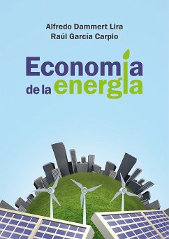 Economía de la energía (eBook, ePUB) - Dammert, Alfredo; García, Raúl