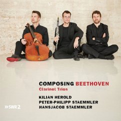 Composing Beethoven - Herold,Kilian