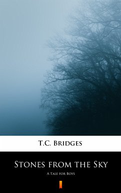 Stones from the Sky (eBook, ePUB) - Bridges, T.C.