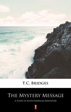 The Mystery Message (eBook, ePUB) - Bridges, T.C.