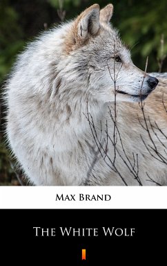 The White Wolf (eBook, ePUB) - Brand, Max