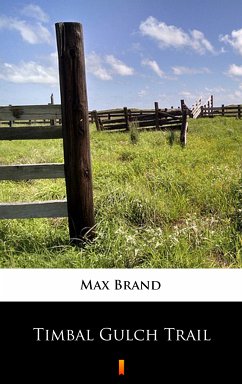 Timbal Gulch Trail (eBook, ePUB) - Brand, Max