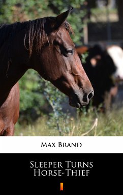 Sleeper Turns Horse-Thief (eBook, ePUB) - Brand, Max