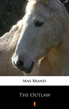 The Outlaw (eBook, ePUB) - Brand, Max