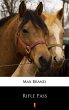 Rifle Pass (eBook, ePUB) - Bild 1