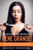 Secretos para tener un pene grande: Cómo agrandar el pene permanentemente con los métodos ocultos de la industria porno (eBook, ePUB)
