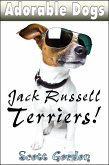 Adorable Dogs: Jack Russell Terriers (eBook, ePUB)