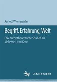 Begriff, Erfahrung, Welt (eBook, PDF)