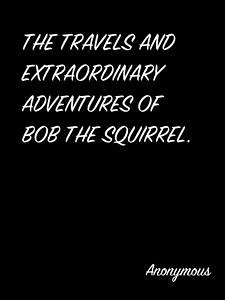 The Travels And Extraordinary Adventures Of Bob The Squirrel. (eBook, ePUB) - Anonymous