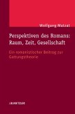 Perspektiven des Romans: Raum, Zeit, Gesellschaft (eBook, PDF)