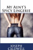 My Aunt's Spicy Lingerie: Taboo Erotica (eBook, ePUB)