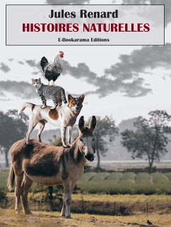Histoires naturelles (eBook, ePUB) - Renard, Jules