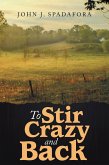 To Stir Crazy and Back (eBook, ePUB)