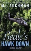 Beale's Hawk Down (eBook, ePUB)