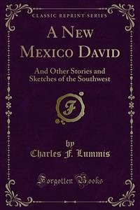 A New Mexico David (eBook, PDF) - F. Lummis, Charles