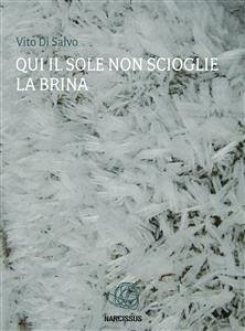 Qui il sole non scioglie la brina (eBook, ePUB) - Di Salvo, Vito