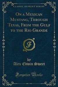 On a Mexican Mustang, Through Texas, From the Gulf to the Rio Grande (eBook, PDF)