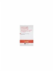 Lavoro agile e coworking (eBook, PDF) - Cairo, Lorenzo; D'Avanzo, Francesco; Ferretti, Federica
