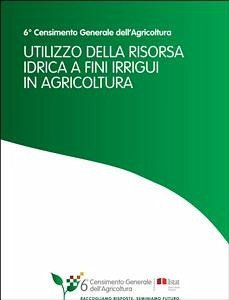Utilizzo della risorsa idrica a fini irrigui in agricoltura (eBook, PDF) - Istat