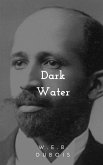 Darkwater (eBook, ePUB)