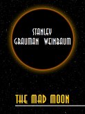 The Mad Moon (eBook, ePUB)