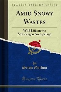 Amid Snowy Wastes (eBook, PDF)