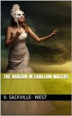 The Dragon in Shallow Waters (eBook, PDF)
